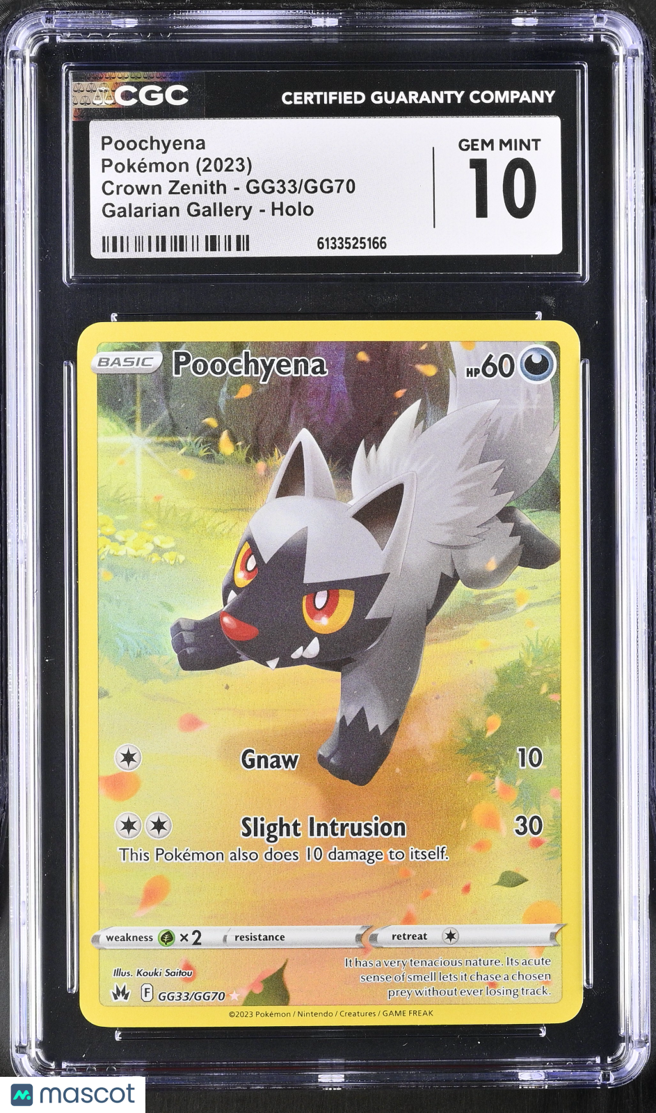 2023 Pokemon Poochyena #GG33/GG70 CGC 10