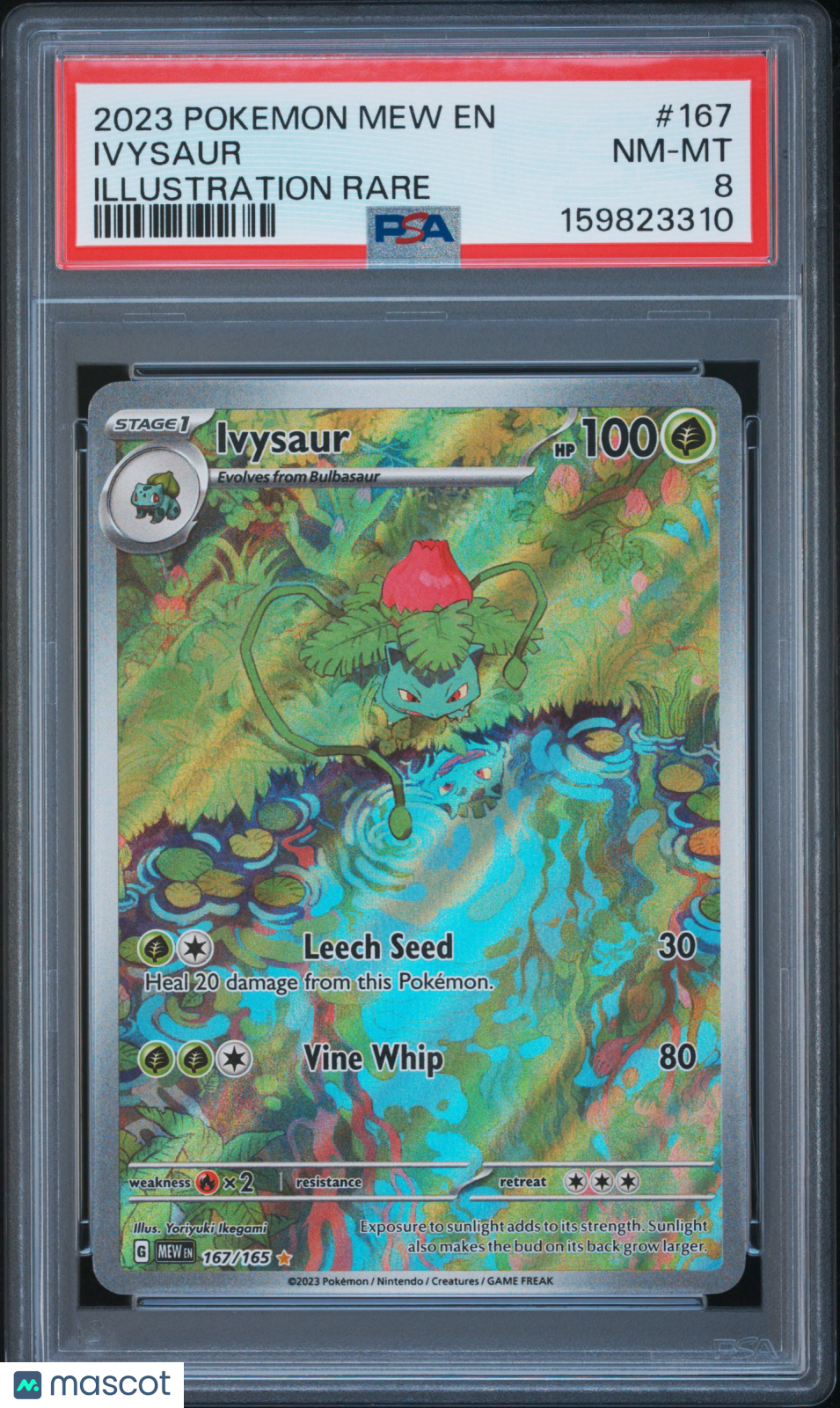 2023 Pokemon Mew EN-151 Ivysaur #167 Illustration Rare PSA 8