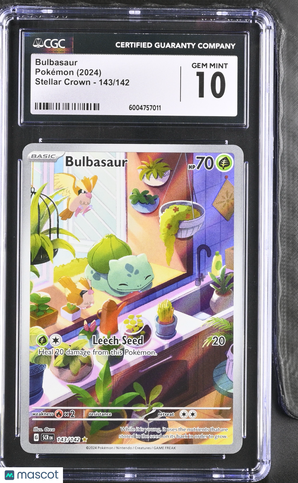 2024 Pokemon Bulbasaur #143/142 Illustration Rare CGC 10