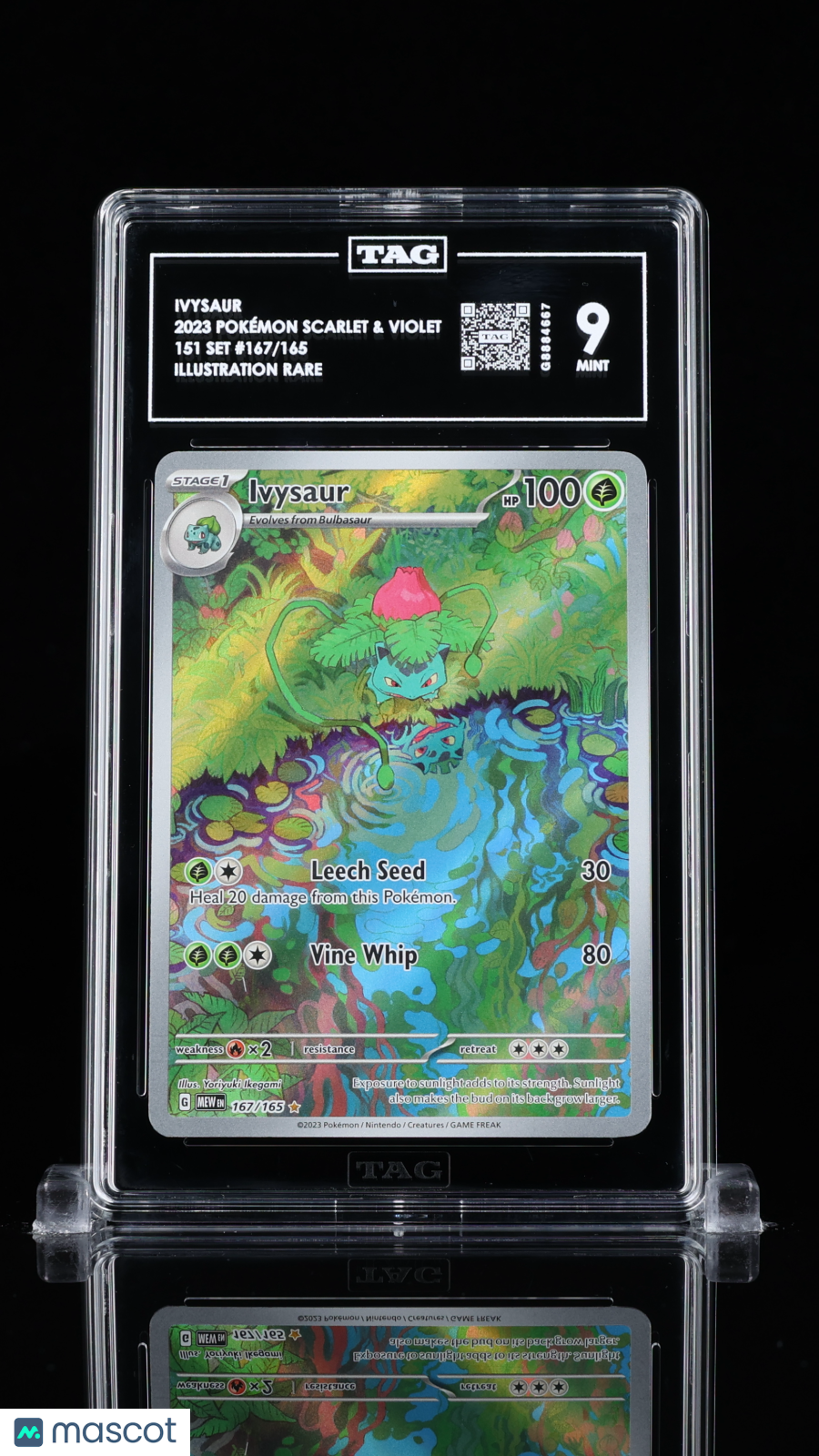 2023 Pokemon Ivysaur #167/165 TAG 9