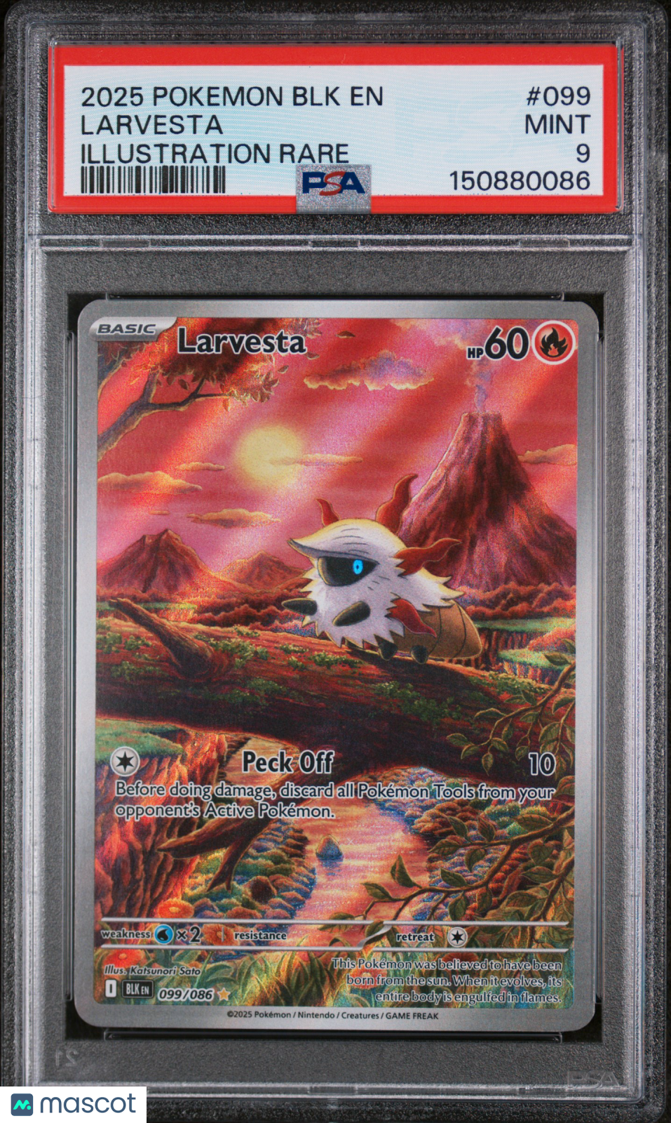 2025 Pokemon BLK EN-Black Bolt Larvesta #099 Illustration Rare PSA 9