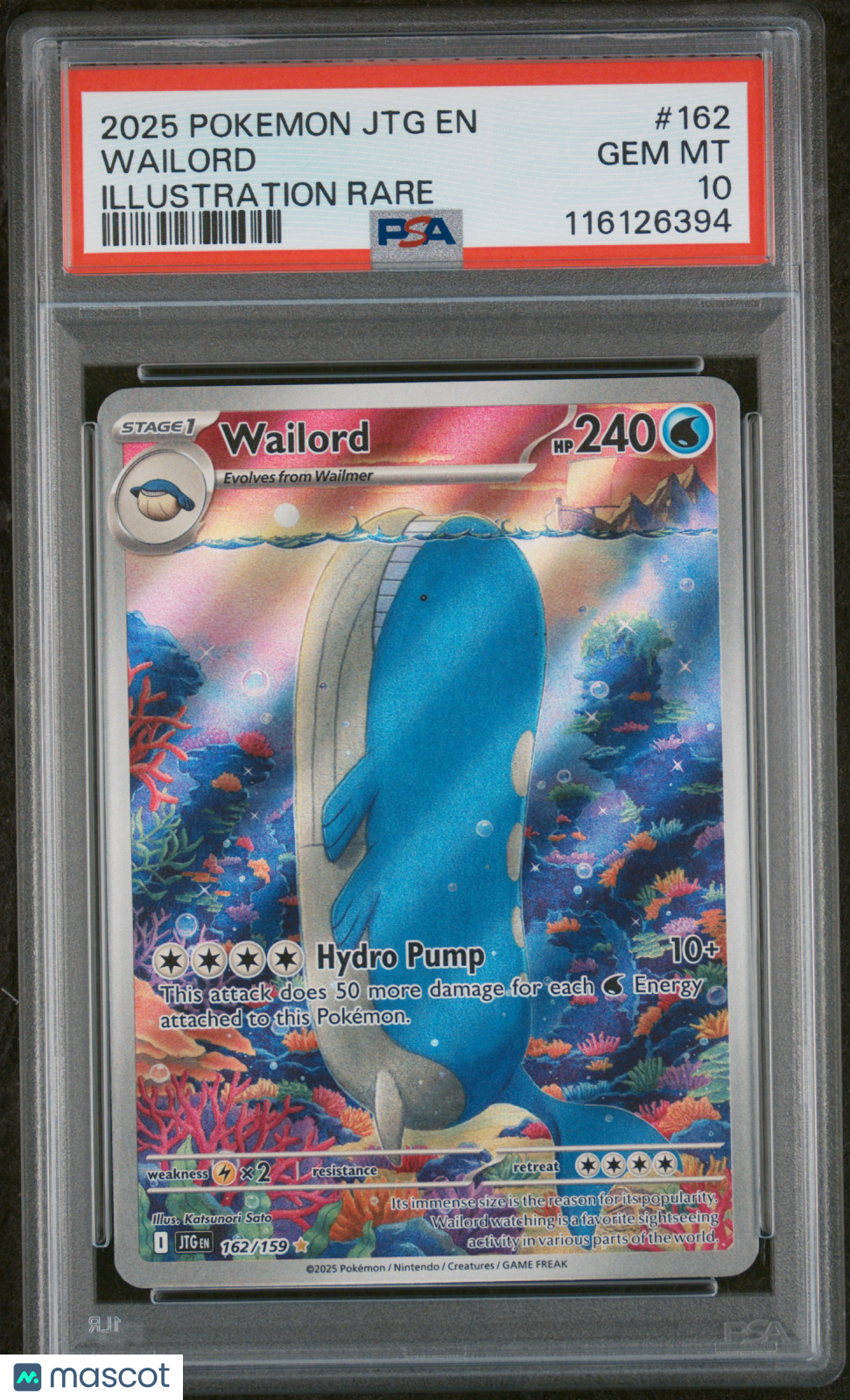 2025 Pokemon JTG EN-Journey Together Wailord #162 Illustration Rare PSA 10