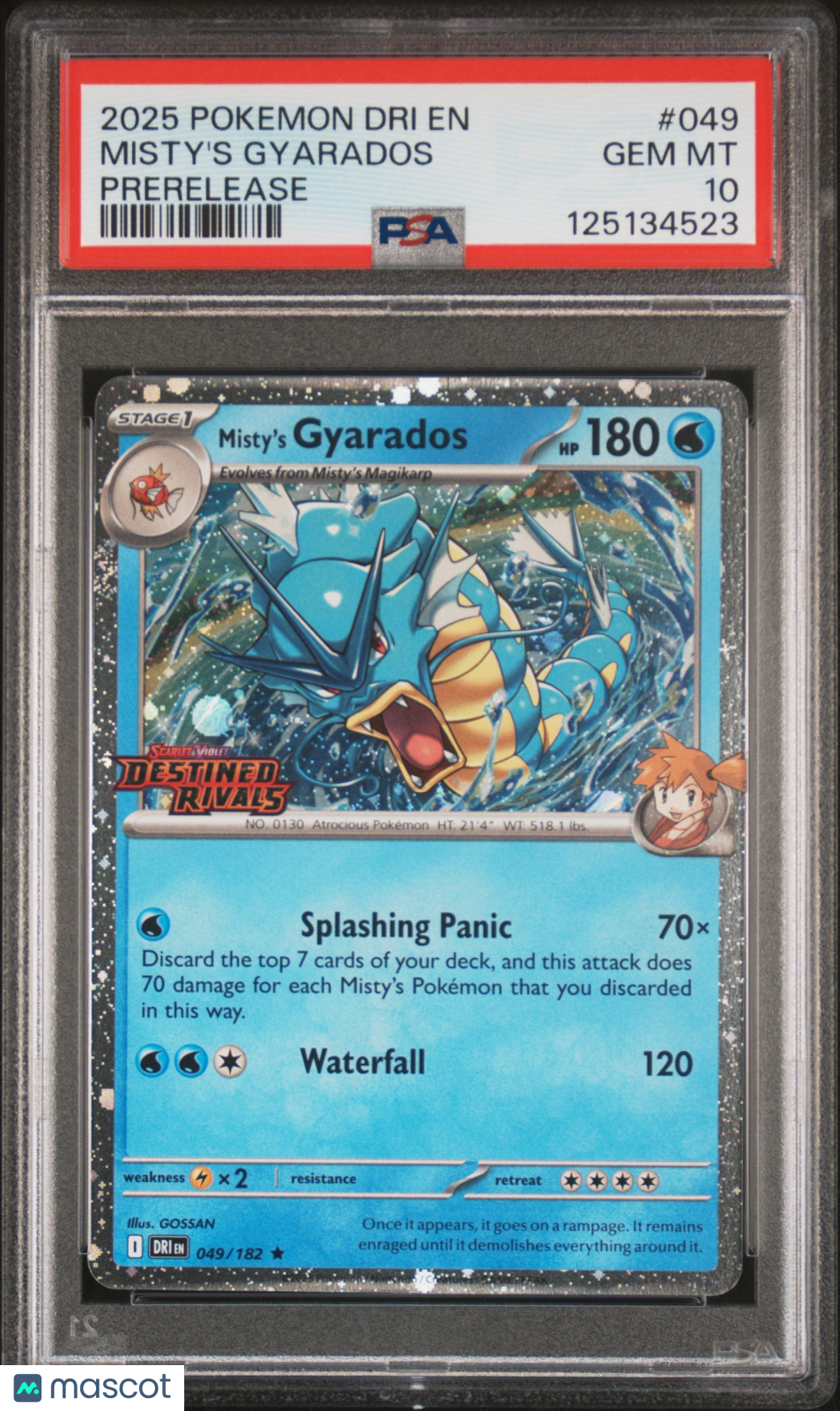 2025 Pokemon Dri EN-Destined Rivals Misty's Gyarados #049 Prerelease PSA 10
