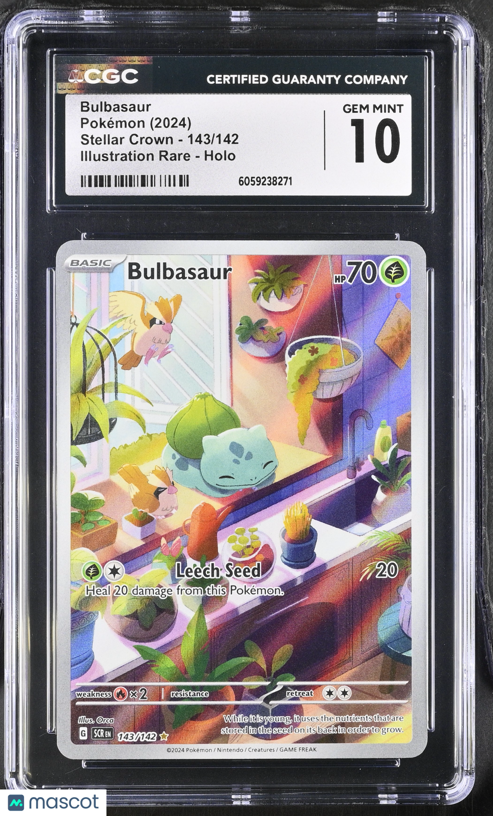 2024 Pokemon Bulbasaur #143/142 Illustration Rare CGC 10