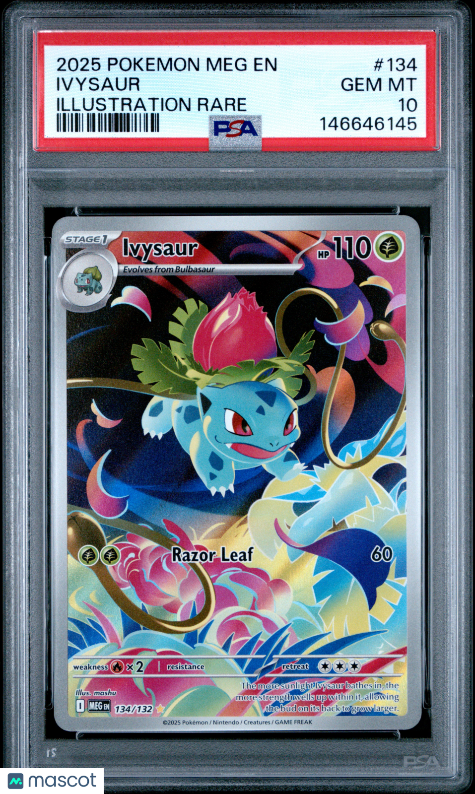 2025 Pokemon Meg EN-Mega Evolution Ivysaur #134 Illustration Rare PSA 10