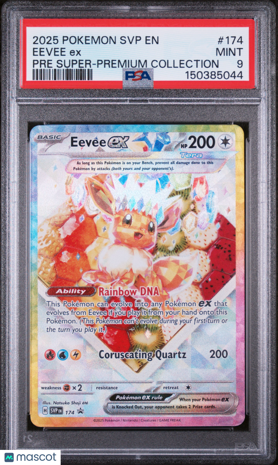 2025 Pokemon SVP EN-SV Black Star Promo Eevee EX #174 Pre Super-Premium Collection PSA 9