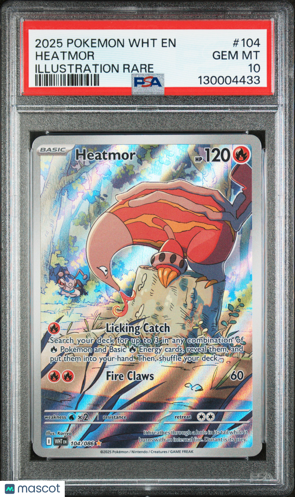 2025 Pokemon WHT EN-White Flare Heatmor #104 Illustration Rare PSA 10