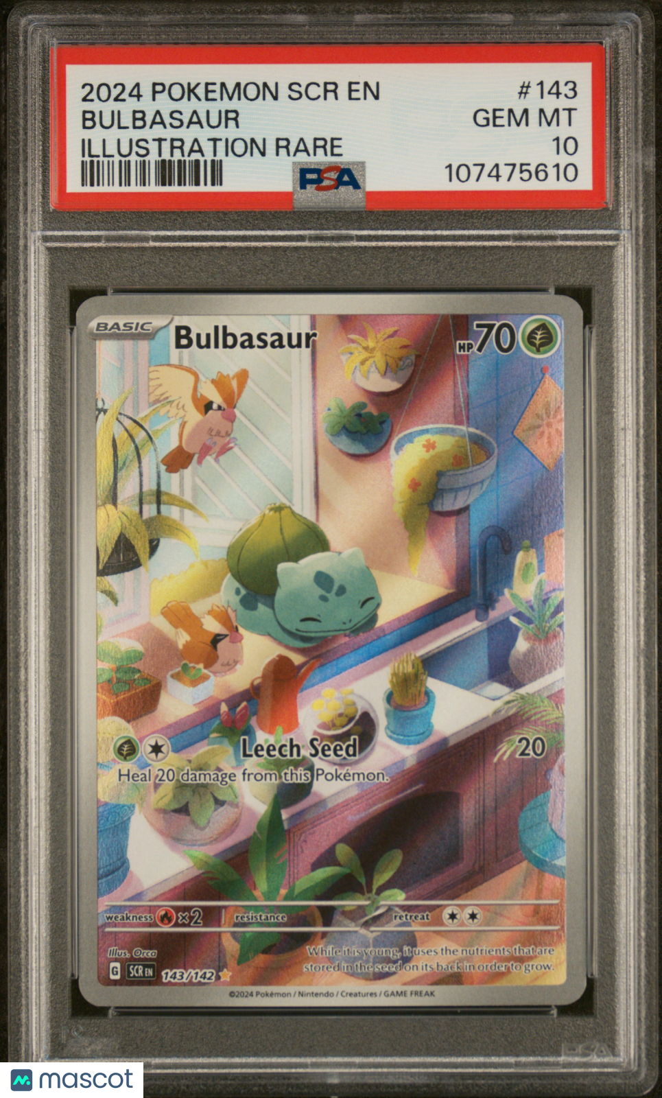 2024 Pokemon SCR EN-Stellar Crown Bulbasaur #143 Illustration Rare PSA 10