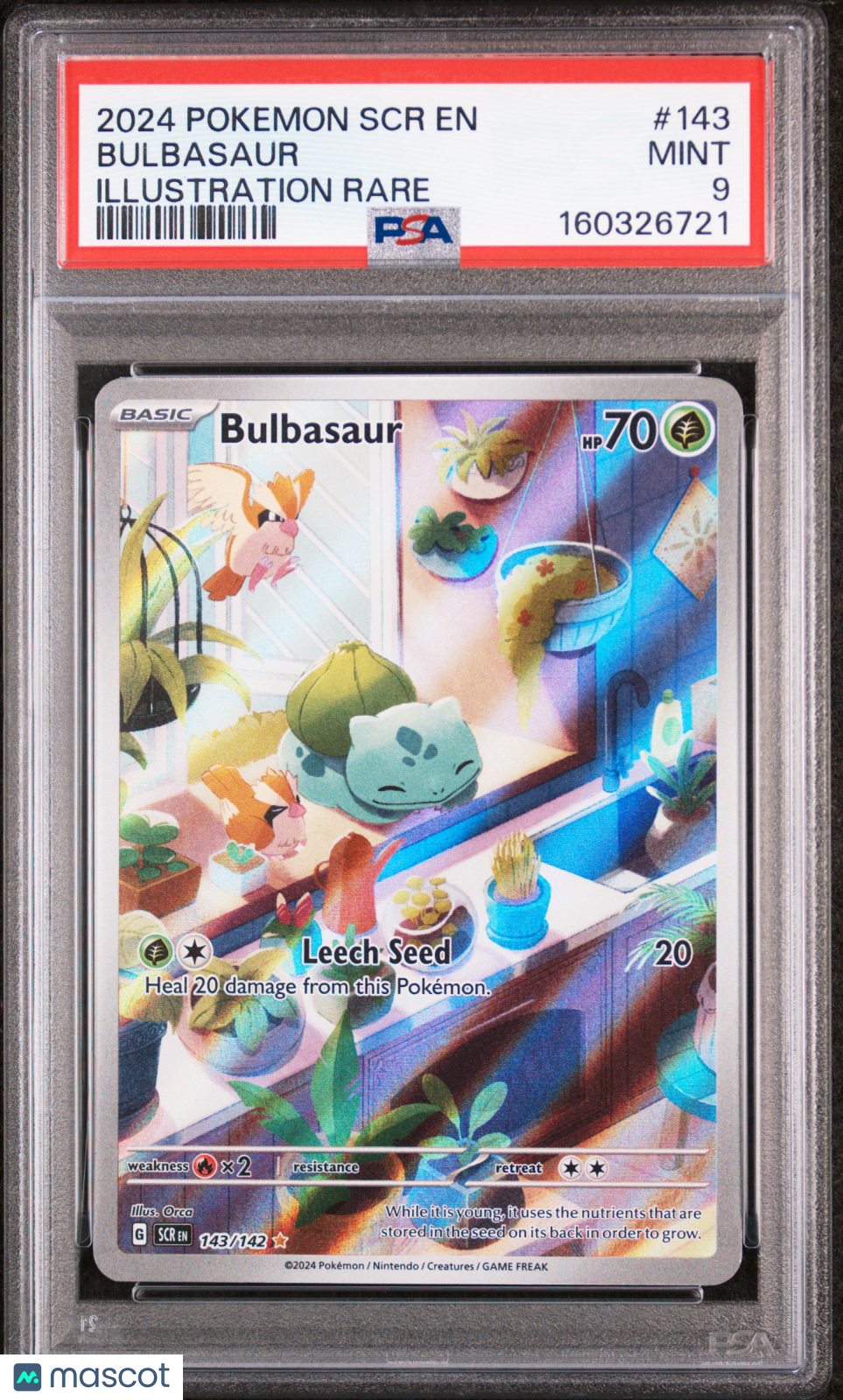 2024 Pokemon SCR EN-Stellar Crown Bulbasaur #143 Illustration Rare PSA 9