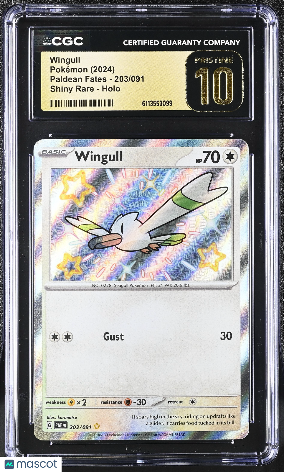 2024 Pokemon Wingull #203/091 Shiny Rare CGC 10