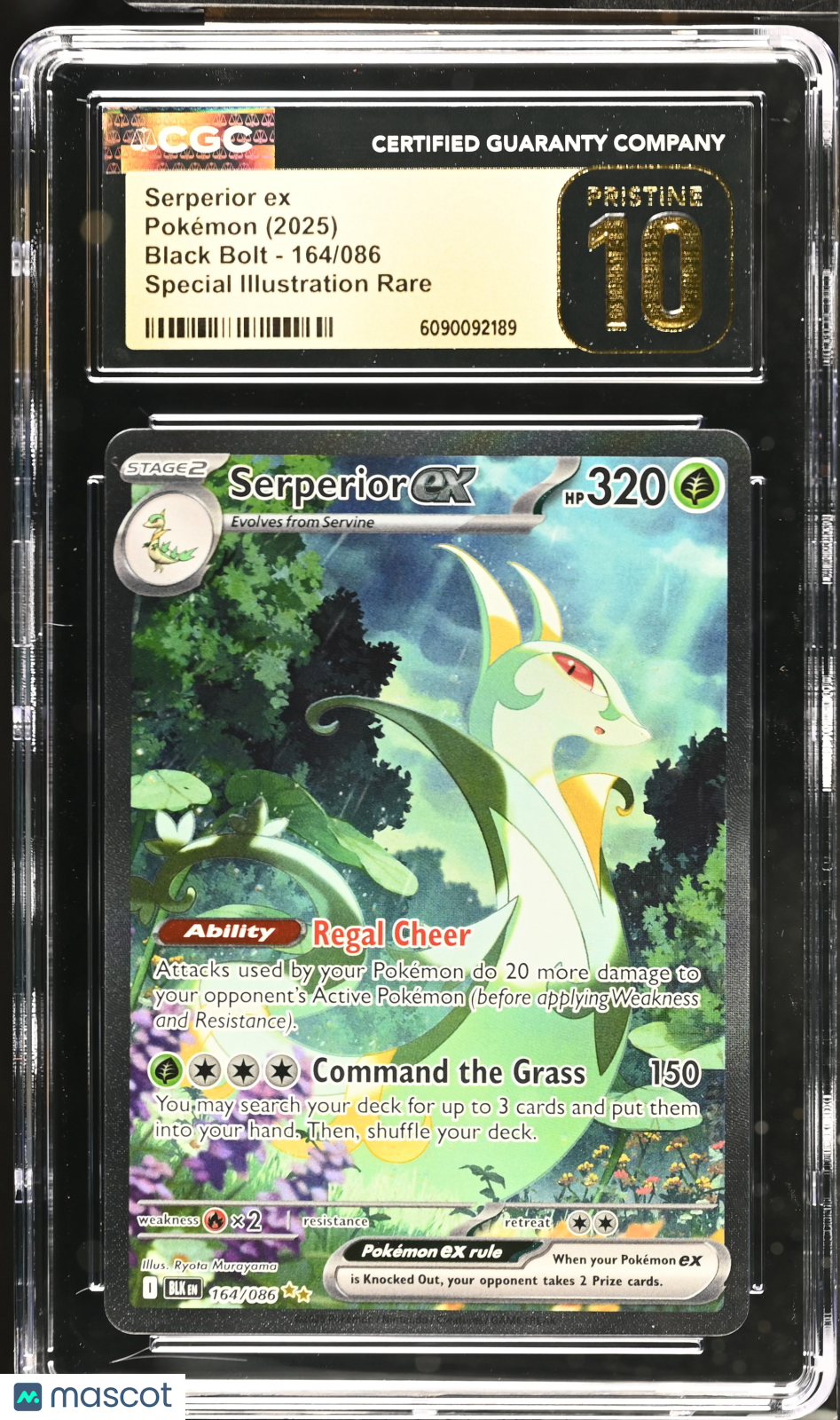 2025 Pokemon Serperior ex #164/086 Special Illustration Rare CGC 10