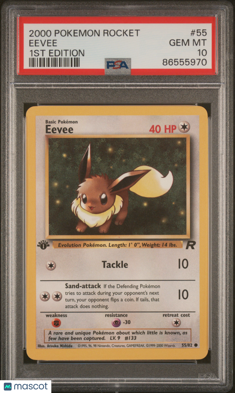 2000 Pokemon Rocket Eevee #55 1ST Edition PSA 10