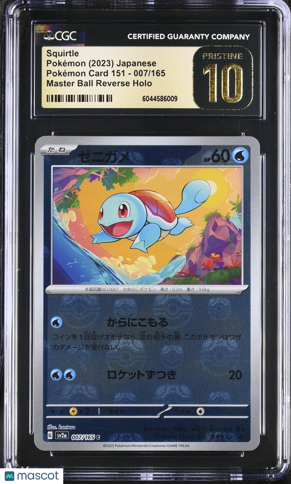 2023 Pokemon Squirtle #007/165 Japanese 007/165 CGC 10