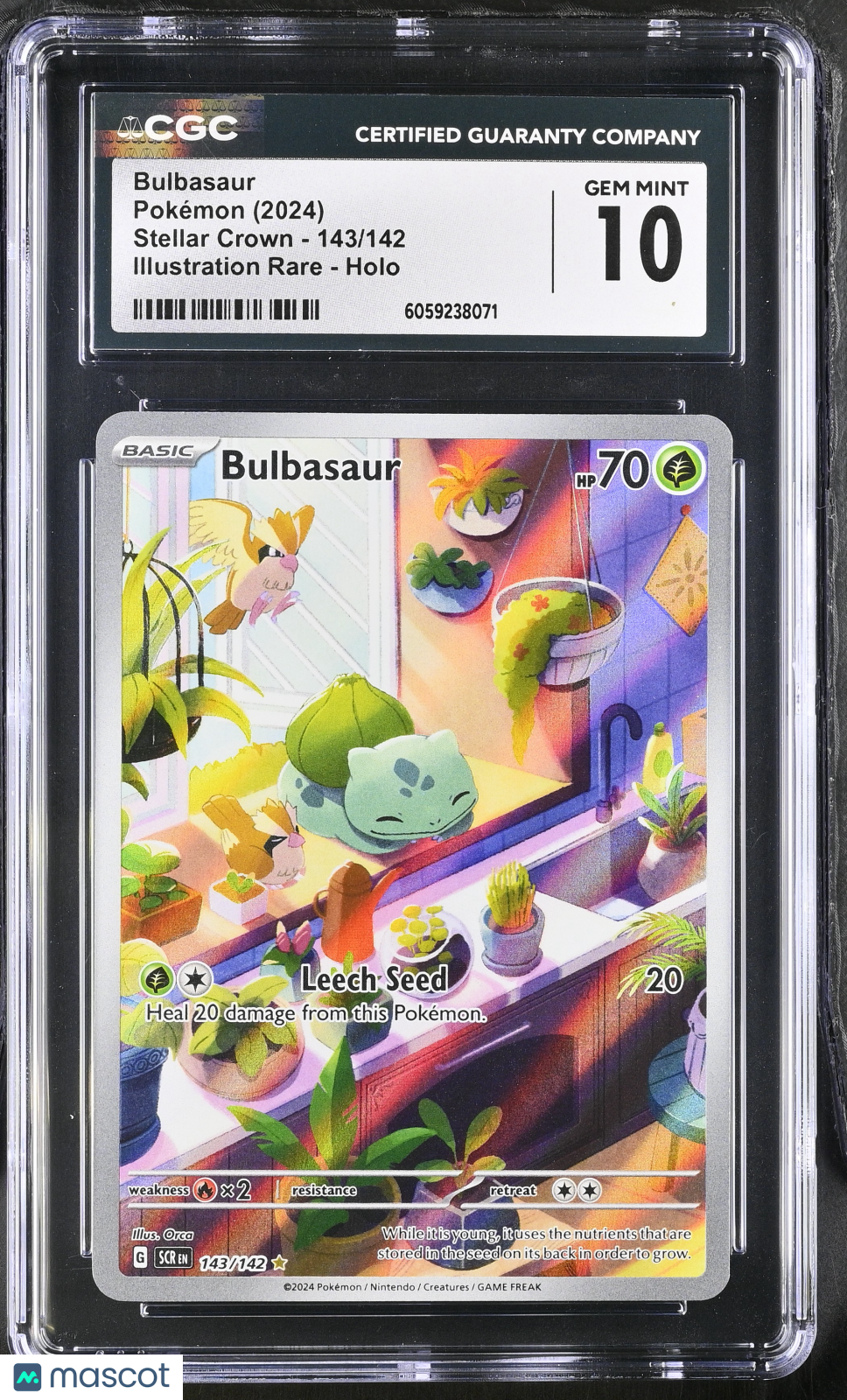2024 Pokemon Bulbasaur #143/142 Illustration Rare CGC 10