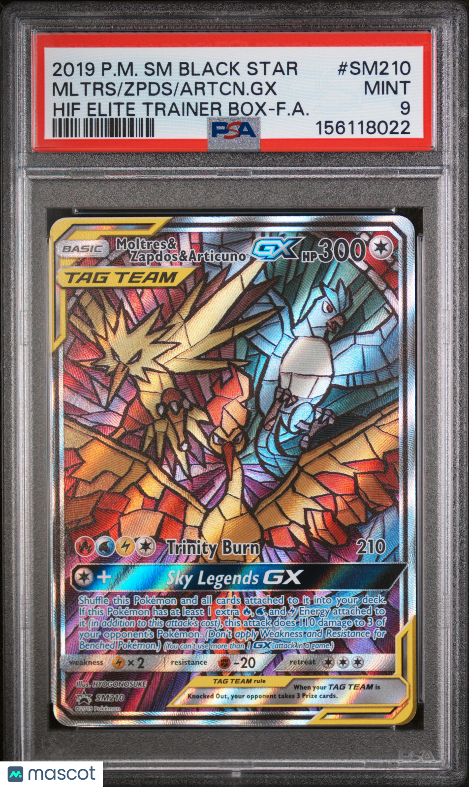 2019 Pokemon SM Black Star Promo Artcn. GX Zpds Mltrs #SM210 Hif Elite Trainer Box-F.A. PSA 9