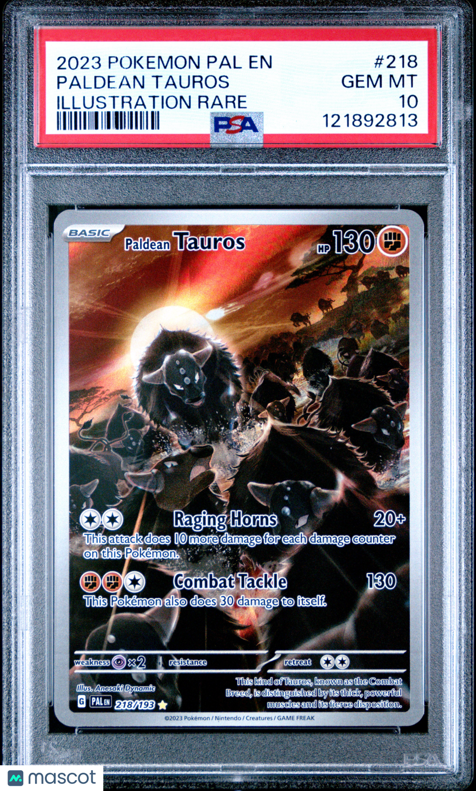 2023 Pokemon Pal EN-Paldea Evolved Paldean Tauros #218 Illustration Rare PSA 10