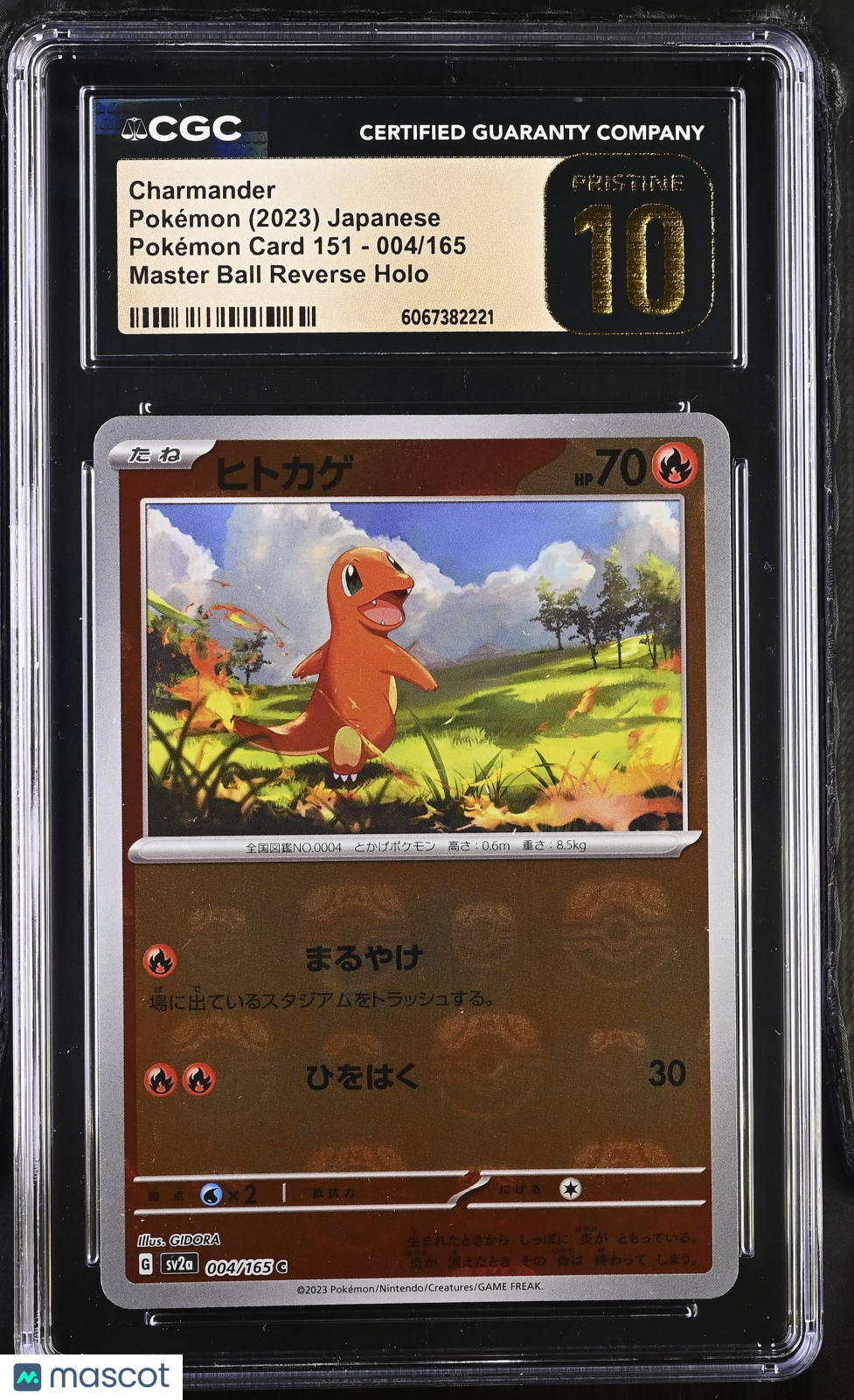 2023 Pokemon Charmander #004/165 Japanese 004/165 CGC 10