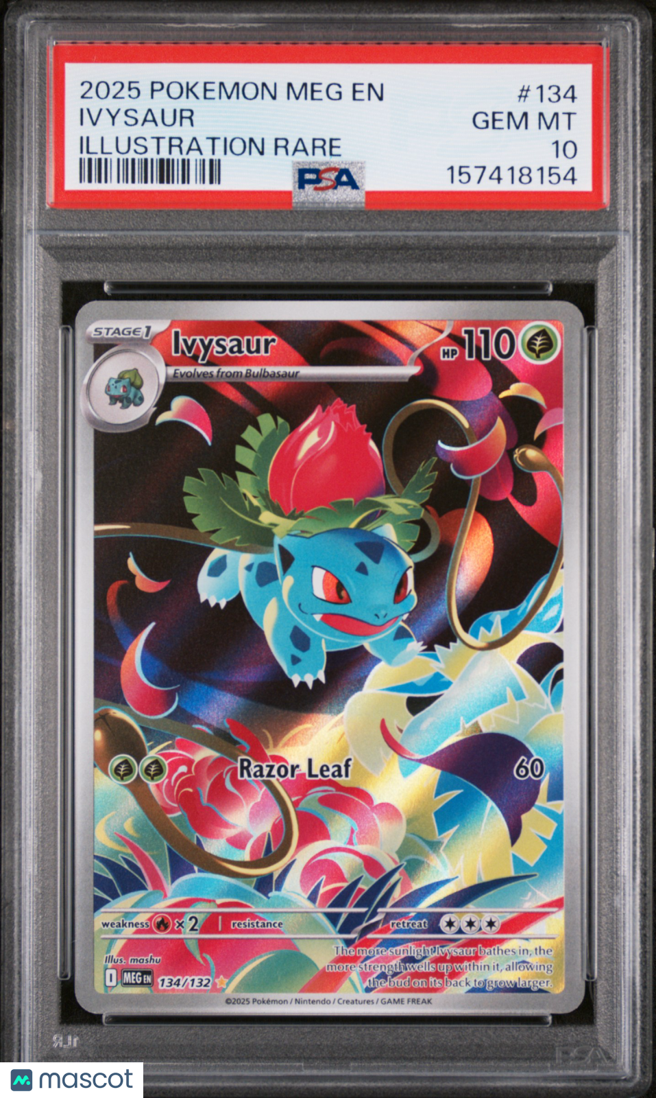 2025 Pokemon Meg EN-Mega Evolution Ivysaur #134 Illustration Rare PSA 10