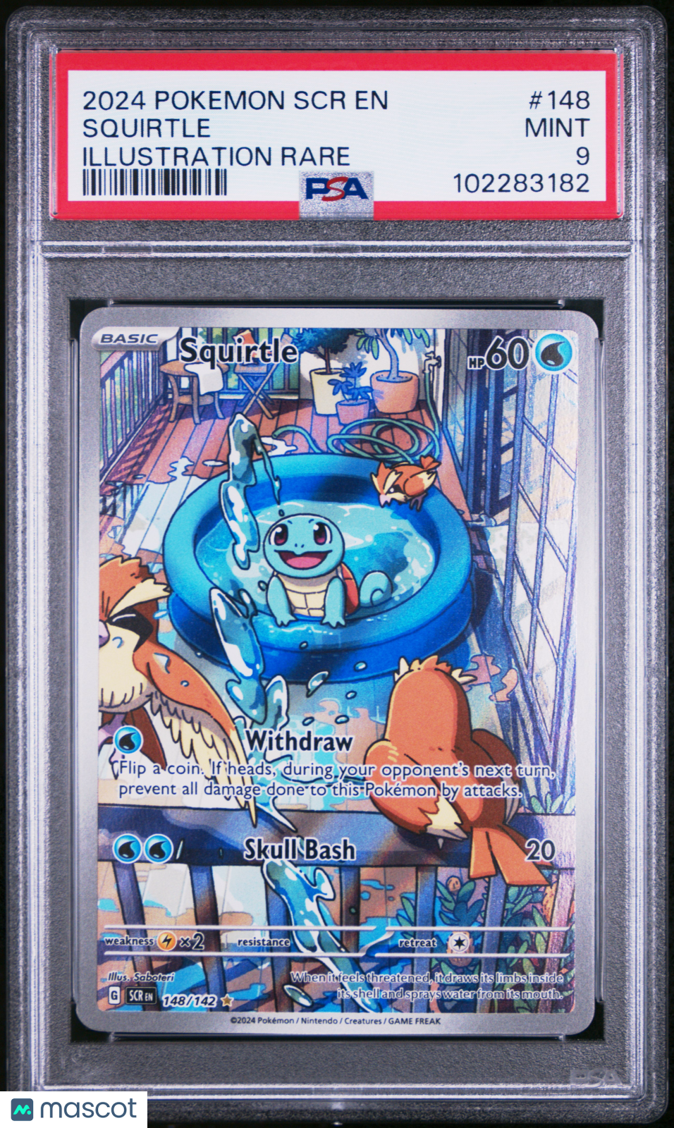 2024 Pokemon SCR EN-Stellar Crown Squirtle #148 Illustration Rare PSA 9