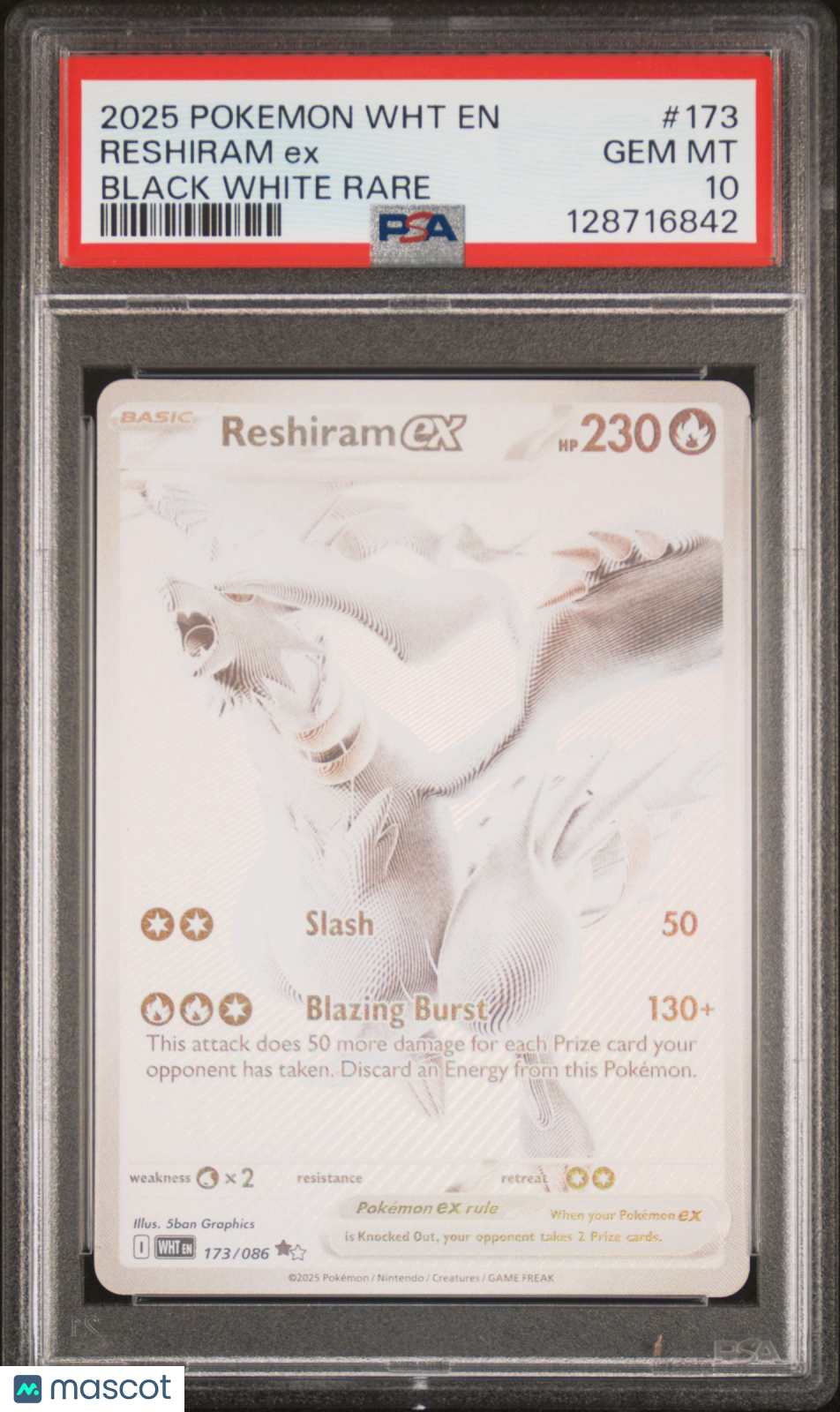 2025 Pokemon WHT EN-White Flare Reshiram EX #173 Black White Rare PSA 10