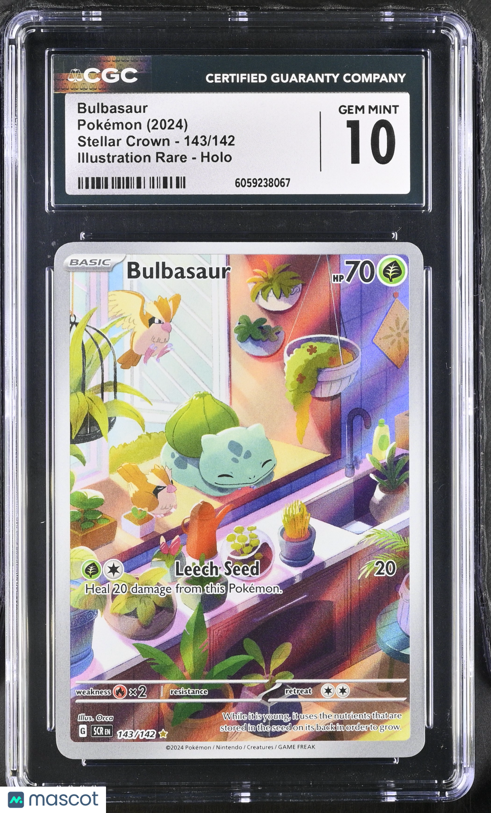 2024 Pokemon Bulbasaur #143/142 Illustration Rare CGC 10