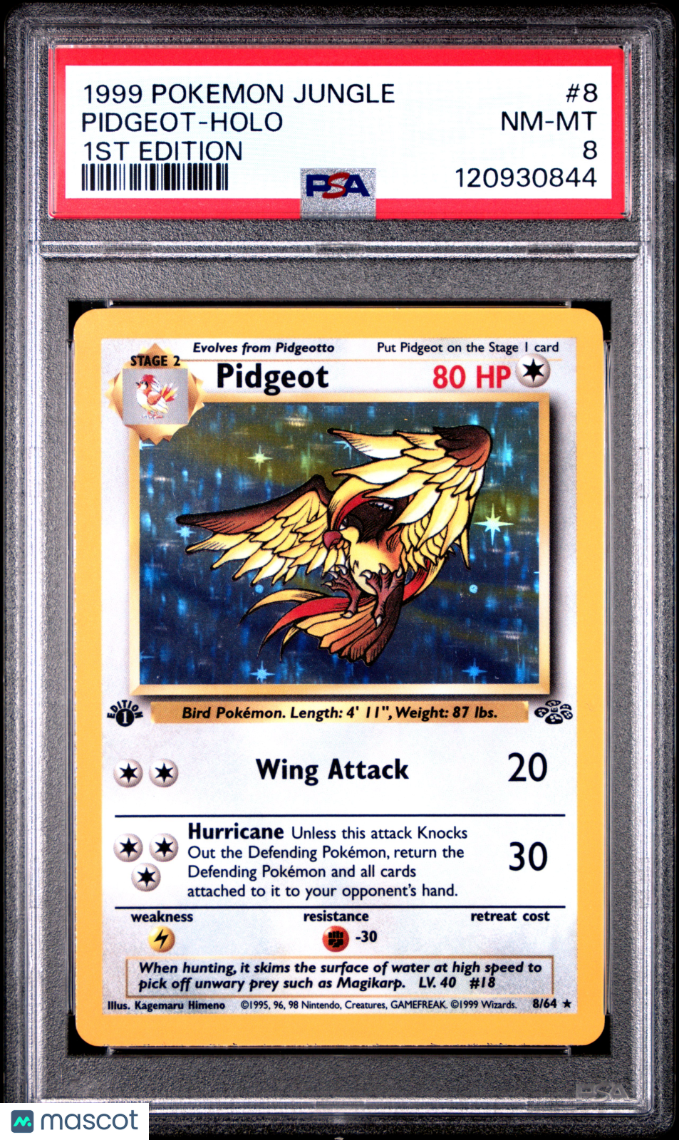 1999 Pokemon Jungle Pidgeot #8 1st Edition PSA 8