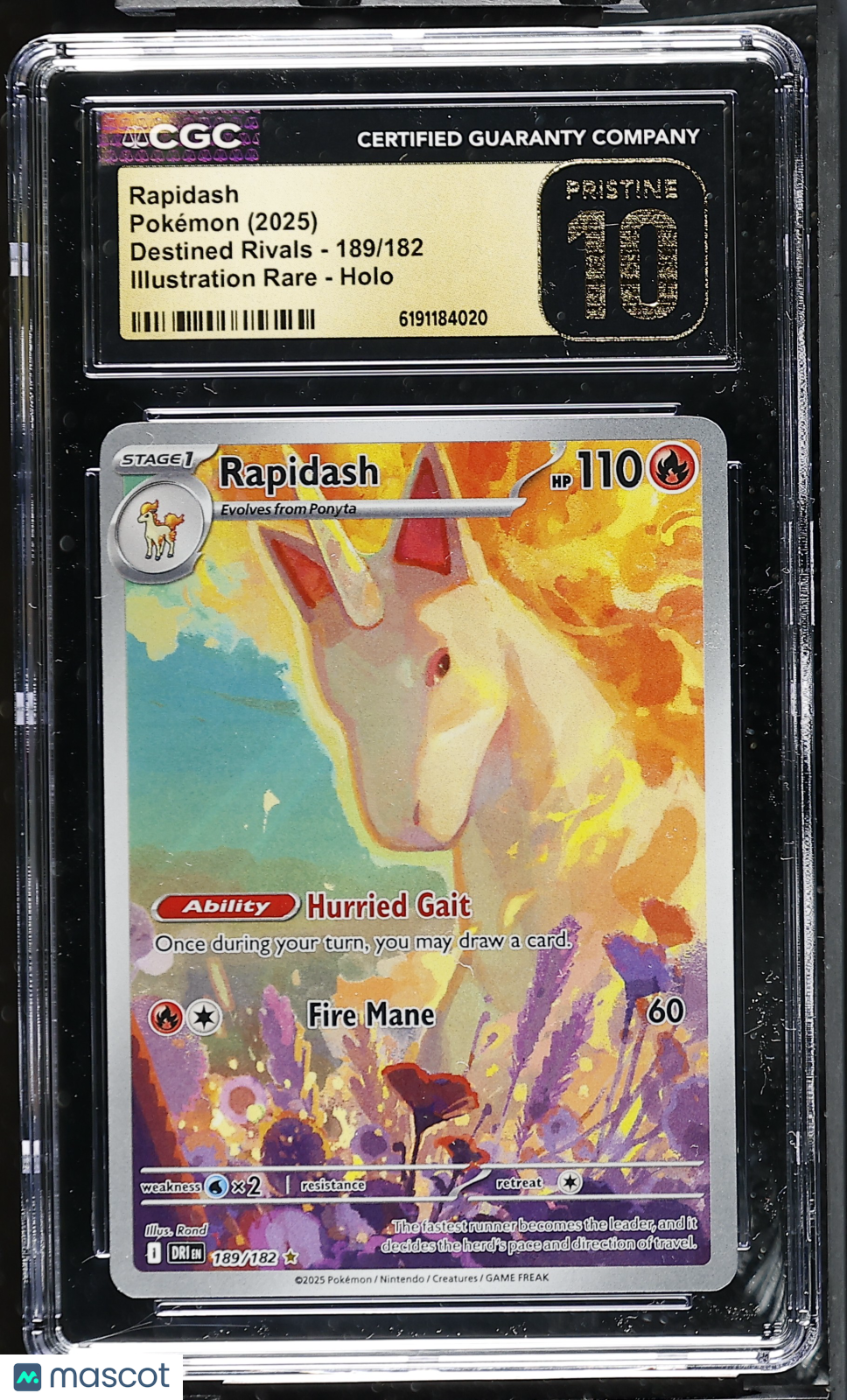 2025 Pokemon Rapidash #189/182 Illustration Rare CGC 10