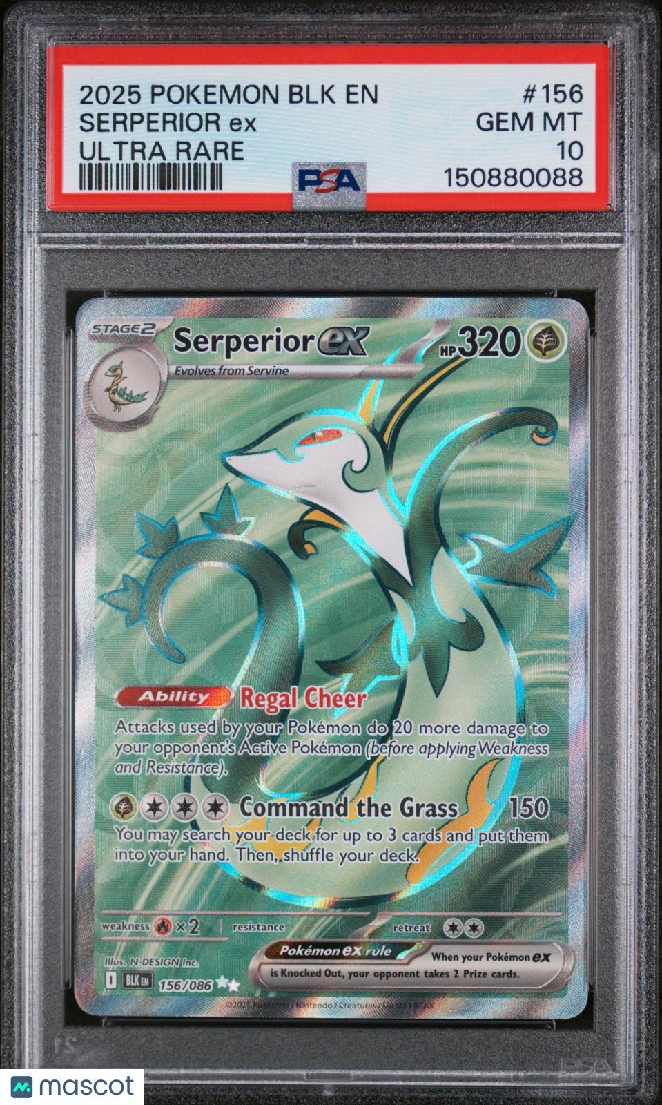 2025 Pokemon BLK EN-Black Bolt Serperior EX #156 Ultra Rare PSA 10