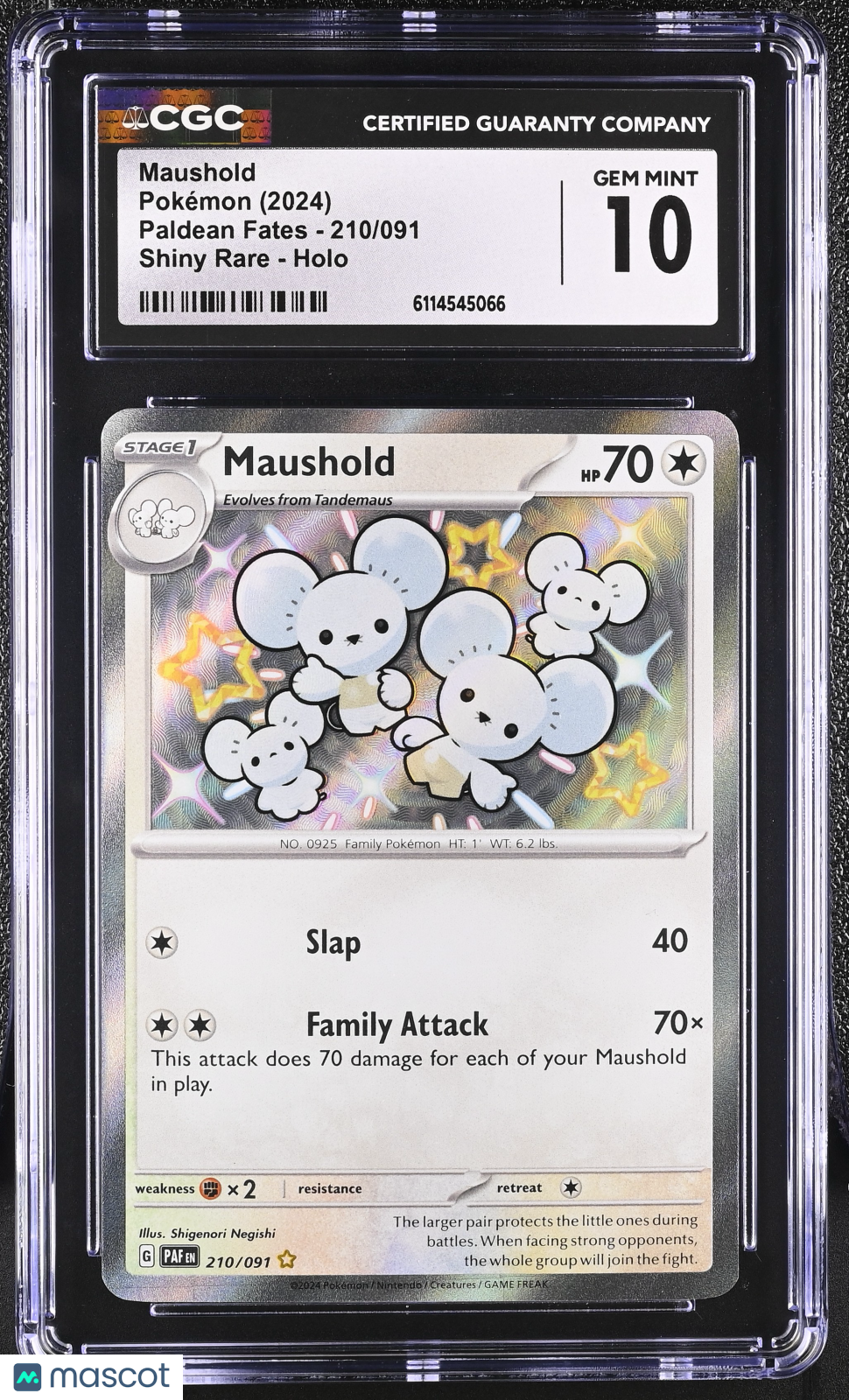 2024 Pokemon Maushold #210/091 Shiny Rare CGC 10