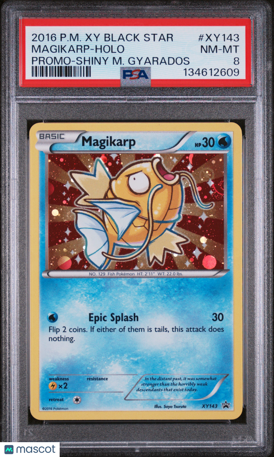 2016 Pokemon Xy Black Star Promo Magikarp #XY143 Promo-Shiny M. Gyarados PSA 8