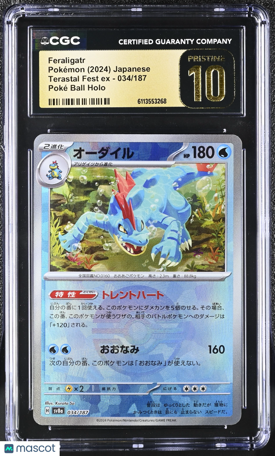 2024 Pokemon Feraligatr #034/187 Japanese 034/187 CGC 10