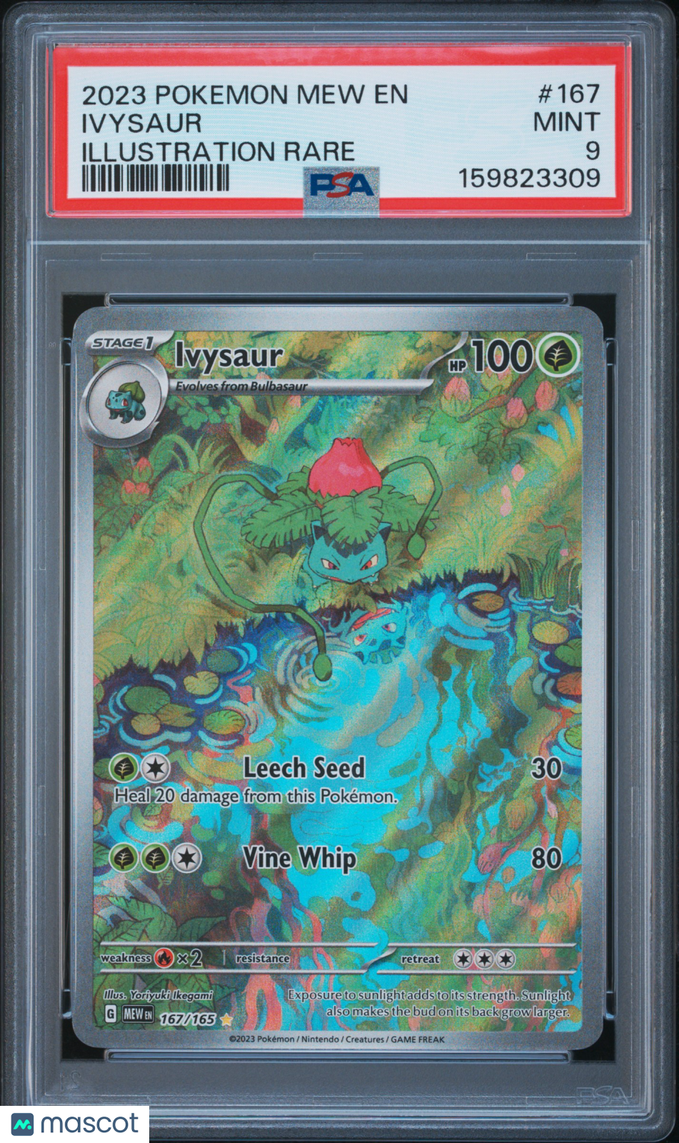 2023 Pokemon Mew EN-151 Ivysaur #167 Illustration Rare PSA 9