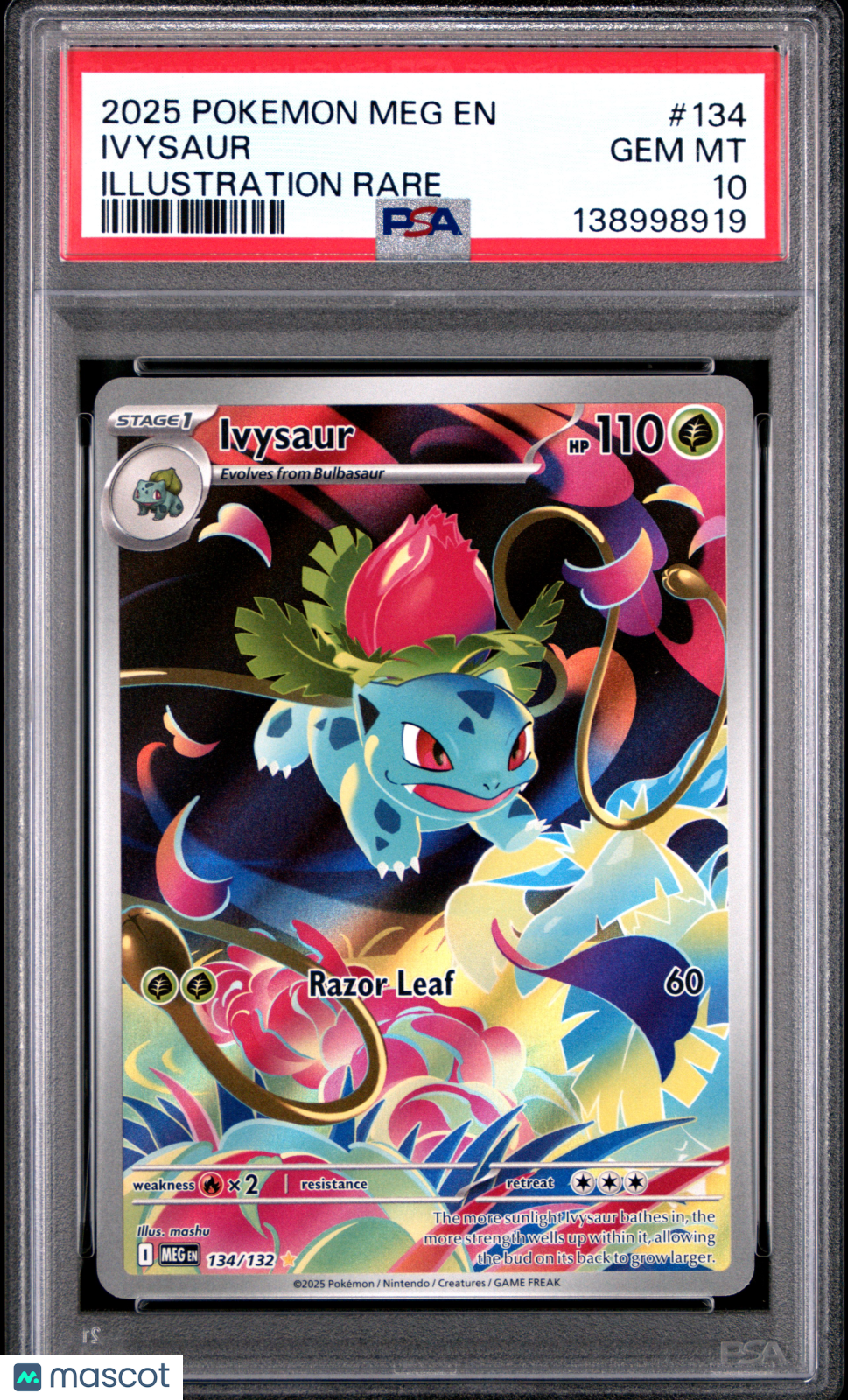 2025 Pokemon Meg EN-Mega Evolution Ivysaur #134 Illustration Rare PSA 10