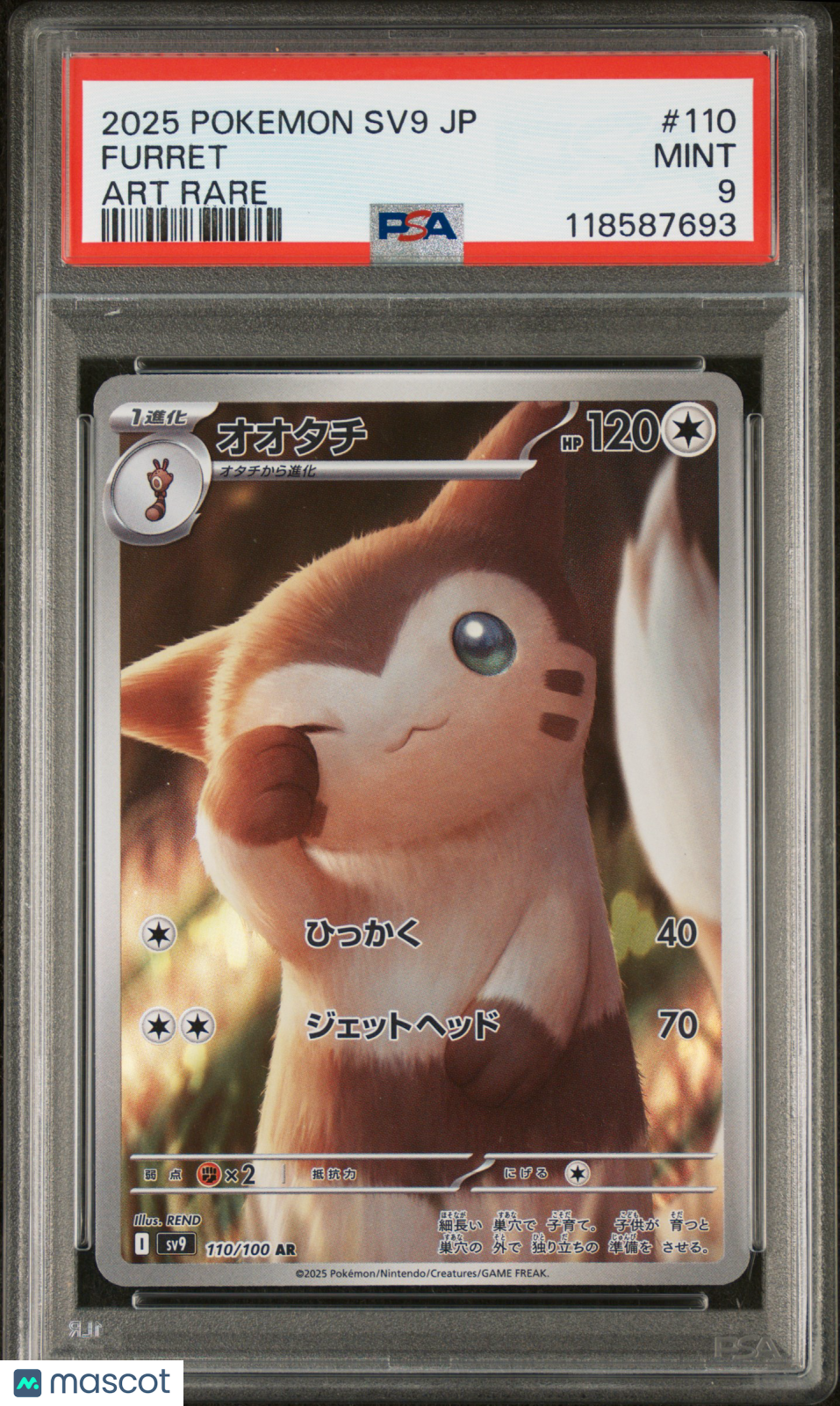 2025 Pokemon Japanese SV9-Battle Partners Furret #110 Japanese Art Rare PSA 9