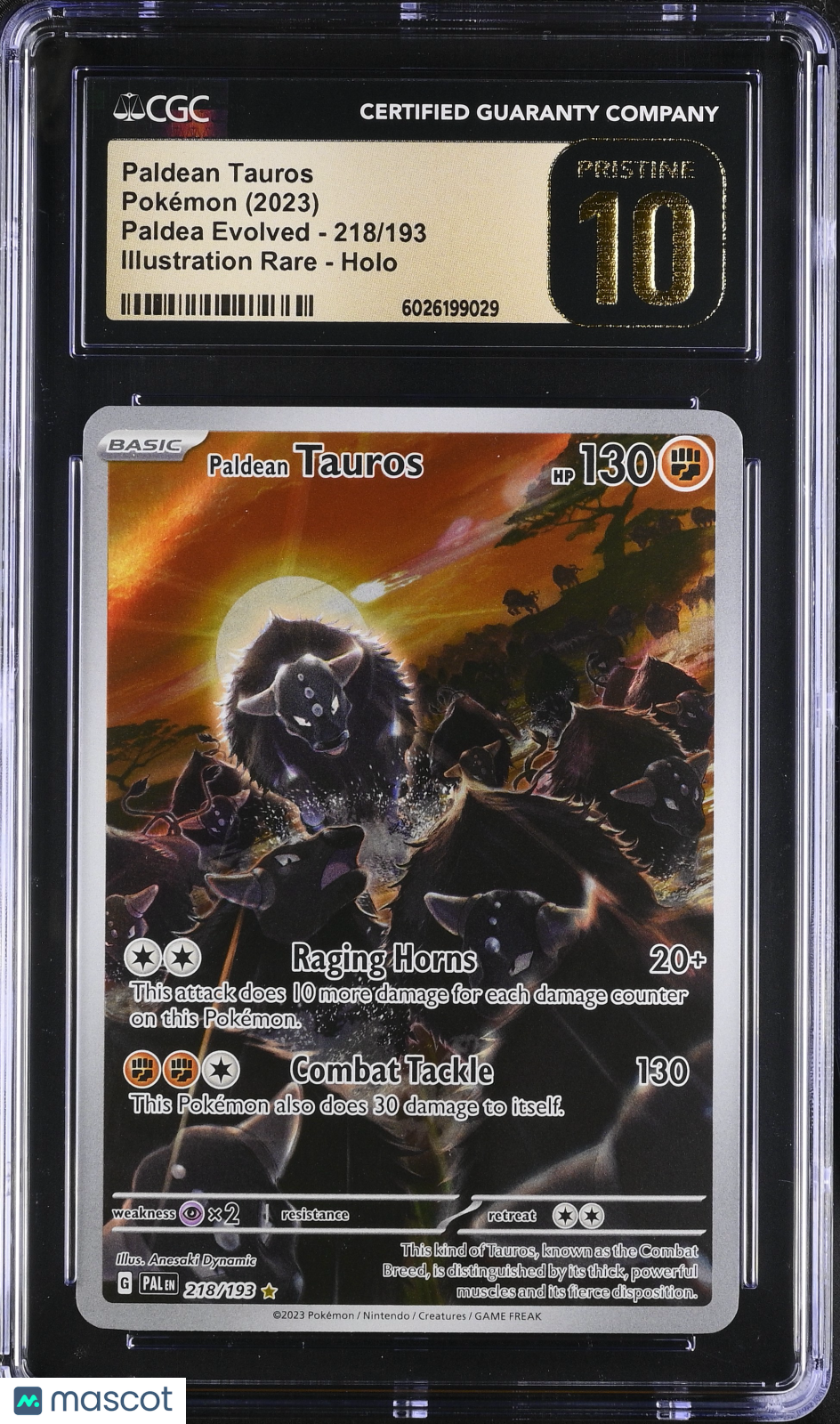 2023 Pokemon Paldean Tauros #218/193 Illustration Rare CGC 10