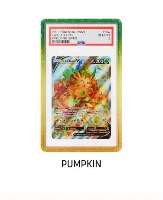 Graded Guard - Standard Case - PSA